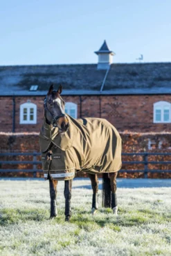 Outdoordecke Arika 600D Ripstop Turnout Rug, 0 g, Regendecke, abnehmbares Halsteil