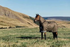 Outdoordecke Arika 600D Ripstop Turnout Rug, 0 g, Regendecke, abnehmbares Halsteil