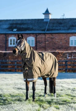 Outdoordecke Arika 600D Ripstop Turnout Rug, 0 g, Regendecke, abnehmbares Halsteil
