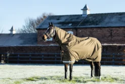 Outdoordecke Arika 600D Ripstop Turnout Rug, 50 g, Regendecke, abnehmbares Halsteil