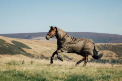 Outdoordecke Arika 600D Ripstop Turnout Rug, 200 g, Winterdecke