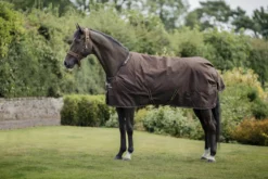 Outdoordecke Irish Turnout, 50 g