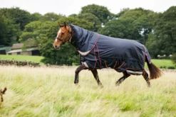 Outdoordecke Kudos Thermo Layer Turnout Rug, 300 g, Winterdecke