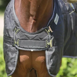 Outdoordecken Stallion, Hengstdecke, 50 g, mit Brustlatz
