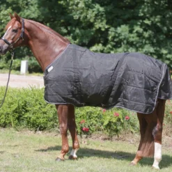 Outdoordecken Stallion, Hengstdecke, 50 g, mit Brustlatz