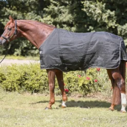 Outdoordecken Stallion, Hengstdecke, 200 g