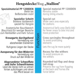 Outdoordecken Stallion, Hengstdecke, 200 g