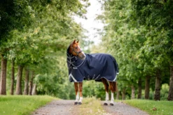 Outdoordecke Rambo Supreme 1680D Plus Turnout VL Medium, 250 g, mit abnehmb. Halsteil