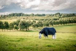Outdoordecke Rambo Supreme 1680D Plus Turnout VL Medium, 250 g, mit abnehmb. Halsteil