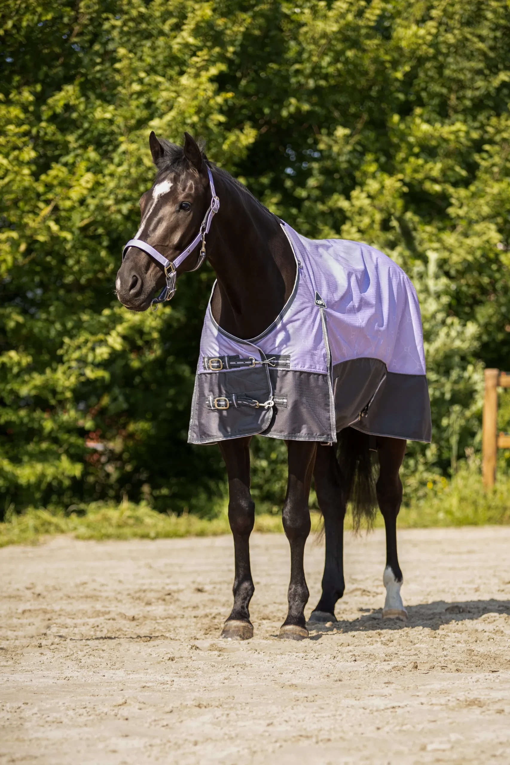 Outdoordecke Turnout Collection FS26, 0 g, Fleecefutter, Regendecke