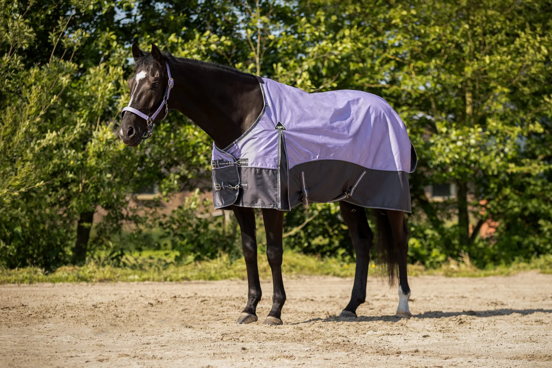Outdoordecke Turnout Collection FS26, 0 g, Regendecke