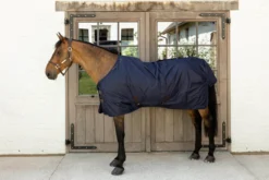 Outdoordecke Turnout Rug All Weather Waterproof Classic, 150 g, Winterdecke