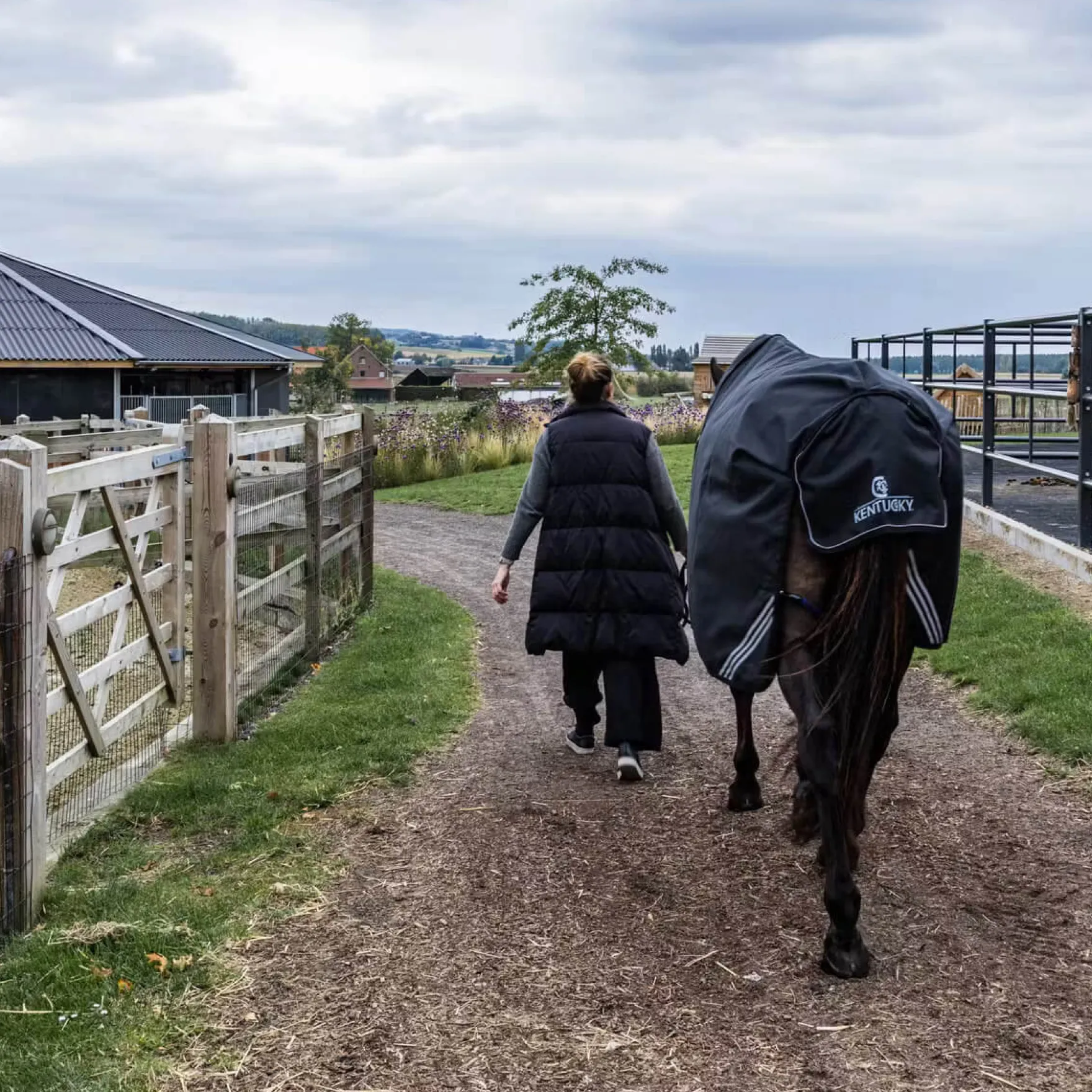 Outdoordecke Turnout Rug All Weather Waterproof Comfort, 200 g, Winterdecke