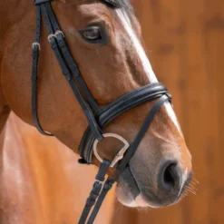 Pony Olivenkopftrense Turnado, Sensogan, einfach gebrochen, Olivenkopfgebiss