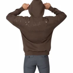 Pullover Unisex Icon Oversized, Hoodie