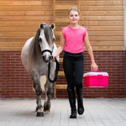 Putzkasten Pony Power, mit Inhalt, Putzbox, Putzkiste