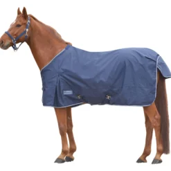 Regendecke Comfort mit Kreuzbegurtung, 0 g