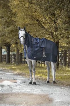 Regendecke Corby, Ausreitdecke