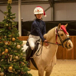 Reitkappenüberzug Weihnachten, Reithelmüberzug
