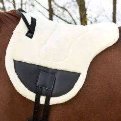 Reitpad Ontario, Barebackpad, Reitkissen