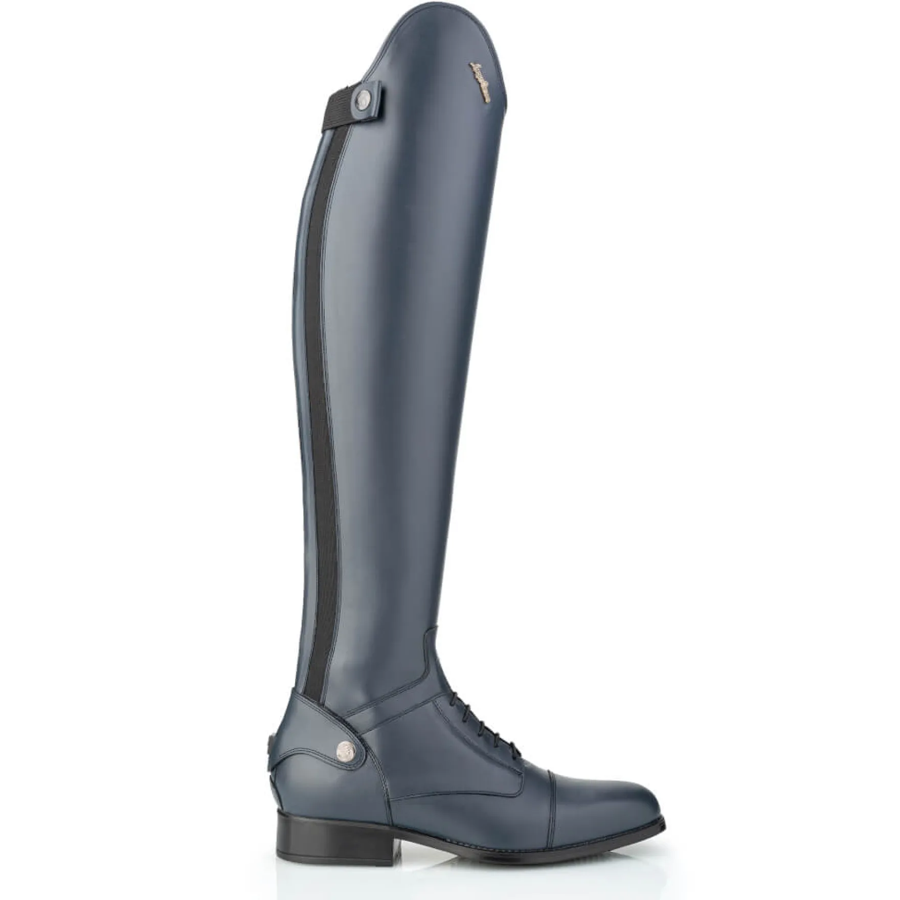 Reitstiefel Advance, Lederreitstiefel, Damen, Herren, Midnight Blue