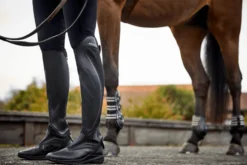Reitstiefel Damen Ascent Tall, Schwarz