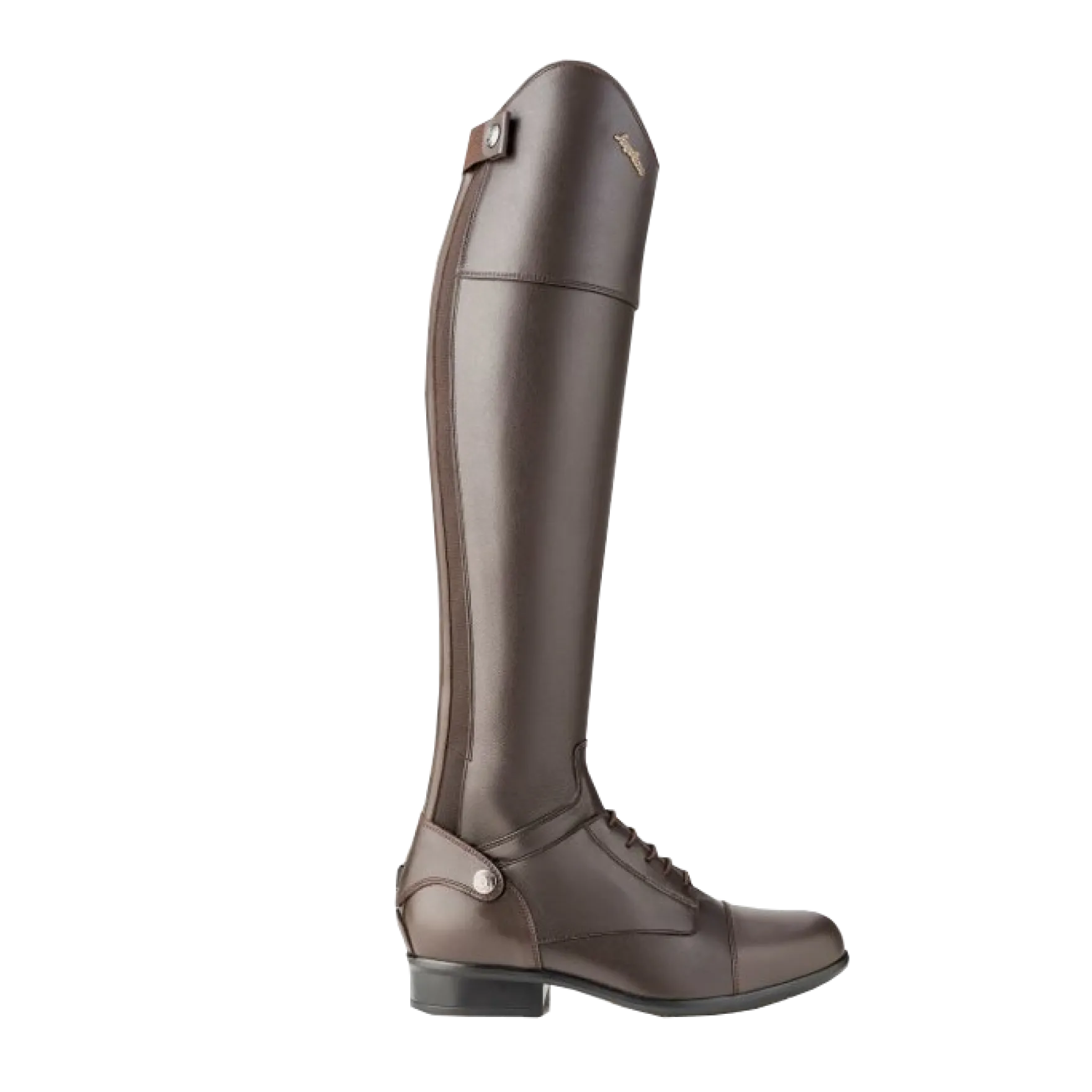 Reitstiefel Evolution, Lederreitstiefel, Damen, Herren, Braun