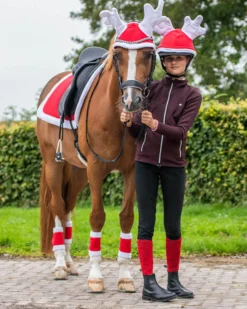 Rentierhaube, Weihnachtshaube