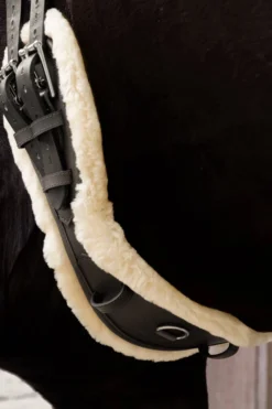 Sattelgurt, Kurzgurt, Anatomisch, Dressurgurt, Kunstfell