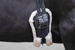 Sattelgurt, Kurzgurt, Dressurgurt, anatomisch, Webpelz