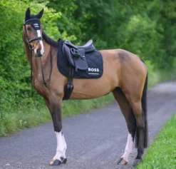 Schabracke Cambridge FS26, Dressurschabracke