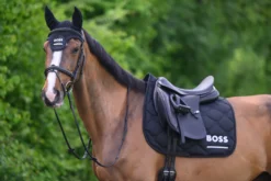 Schabracke Cambridge FS26, Dressurschabracke