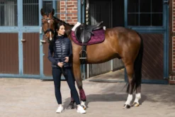 Schabracke Glossy Evo-Wool, Springschabracke
