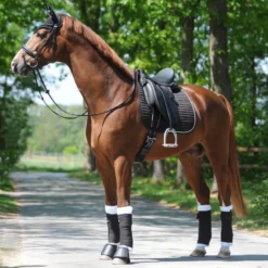 Schabracke KavalEasy Glitzersteine, Dressurschabracke