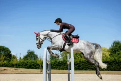 Schabracke Loire Classic Close Contact Square HW25, Springschabracke