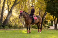 Schabracke Loire Classic Close Contact Square HW25, Springschabracke