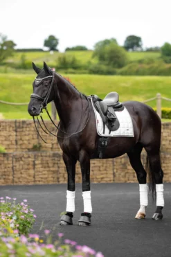 Schabracke Loire Classic Dressage Square, Dressurschabracke