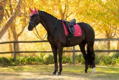 Schabracke Loire Classic Dressage Square HW25, Dressurschabracke