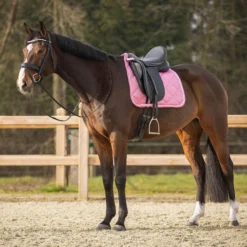 Schabracke Lyvia, Dressurschabracke