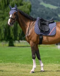 Schabracke Stanford FS26, Dressurschabracke