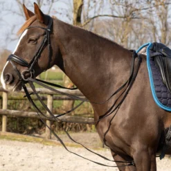 Schlaufzügel Basic Pro