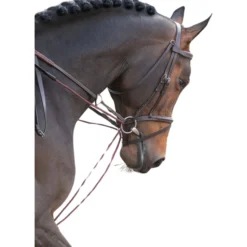 Schlaufzügel WC, Leder, Nylon