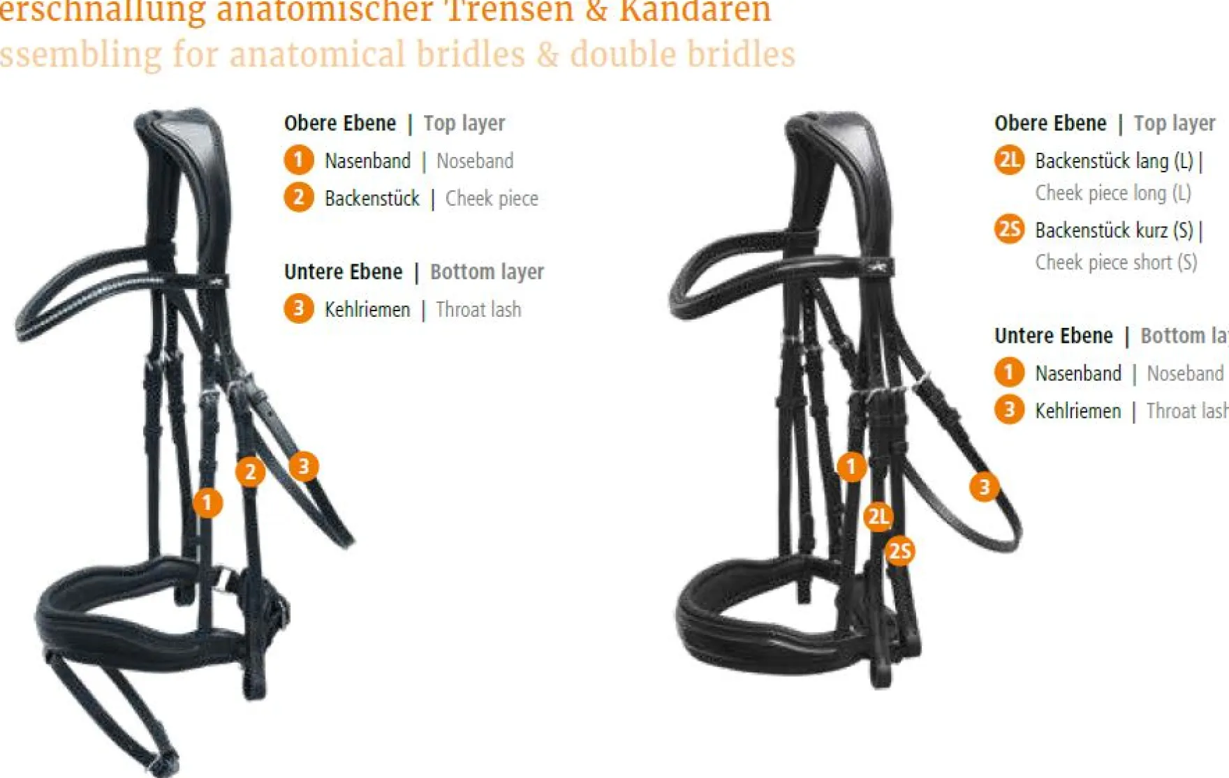Schockemöhle Trense Slimford, Spezial, ohne Zügel