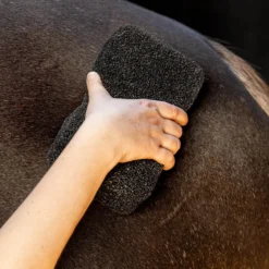 Schwammbürste Equi Super Shiner