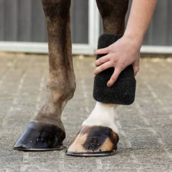 Schwammbürste Equi Super Shiner