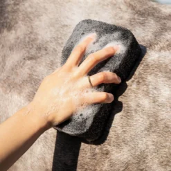 Schwammbürste Equi Super Shiner