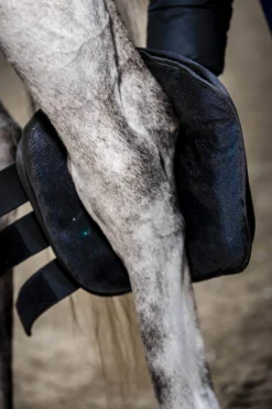 Sprunggelenkschoner Ice Gel Hock Boots FS26, Kühlgamaschen, mit Gelpack