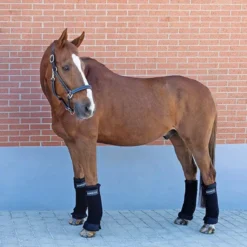 Stallbandagen, 2er Set