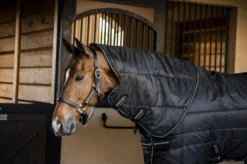 Stalldecke Amigo Ripstop Insulator Plus Stable, 350 g, mit abnehmbarem Halsteil