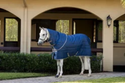 Stalldecke Amigo Ripstop Insulator Plus Stable FS26, 550 g, mit abnehmbarem Halsteil